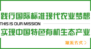 這是描述信息