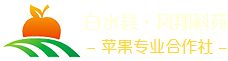 這是描述信息